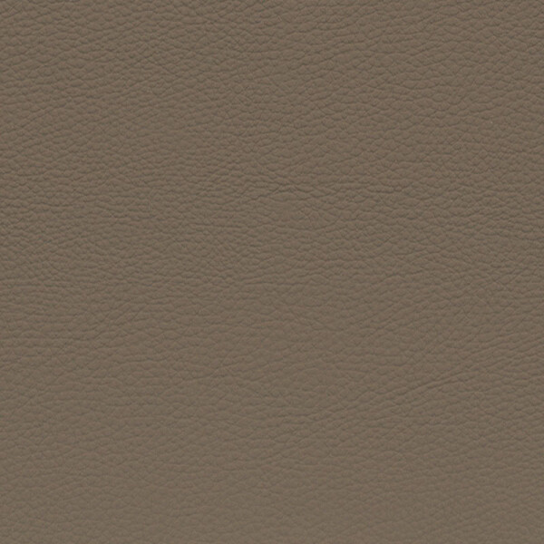 BMW Leder | Dakota camel