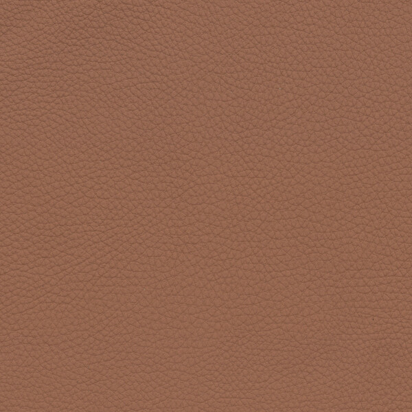 BMW Leder | Dakota cognac