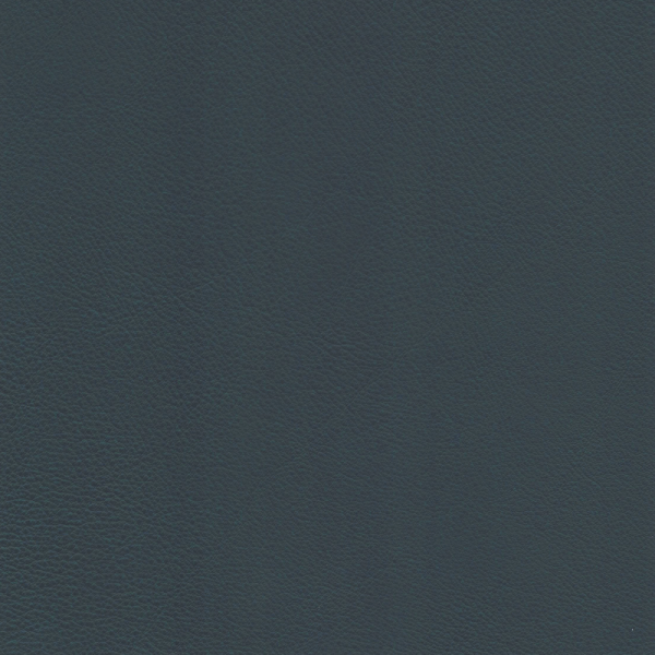 Continental | Rindleder blau schwarz