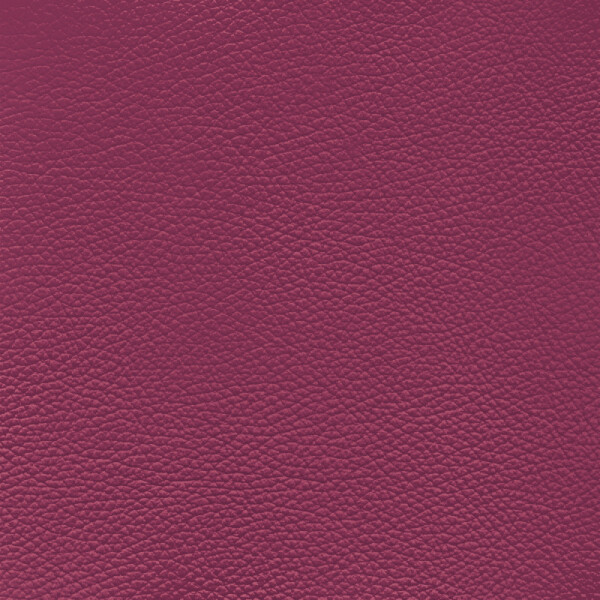 Frisco | Echtes Rindsleder violet