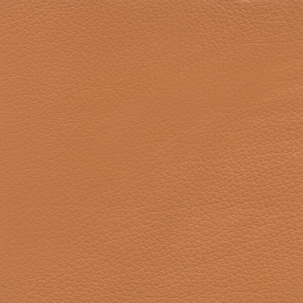 Hotellerie | Gastro | Aircraft & Yacht amber