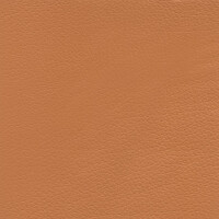 Hotellerie | Gastro | Aircraft & Yacht amber