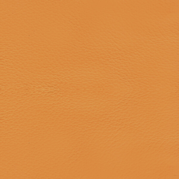 Hotellerie | Gastro | Aircraft & Yacht sunny
