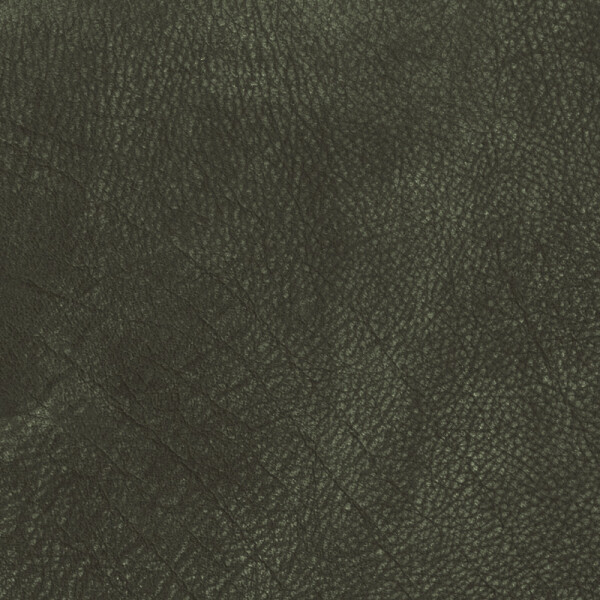 Nevada | Wasserbüffelleder Vintage dark green