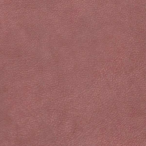 Nevada | Wasserbüffelleder Vintage rouge