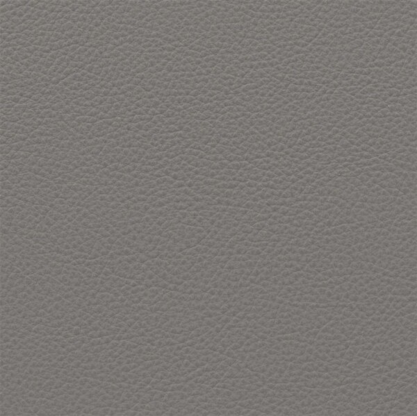 Paris | Rindleder stone