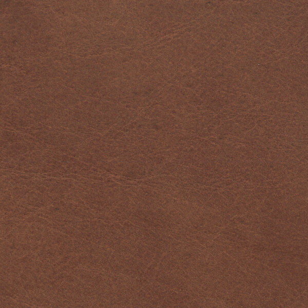 Savanne | Büffelleder cognac