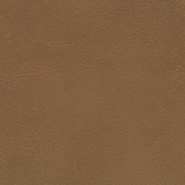 Savanne | Büffelleder golden brown