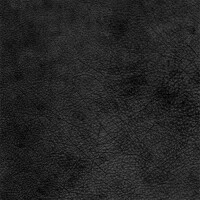 Wild | Wasserbüffelleder black