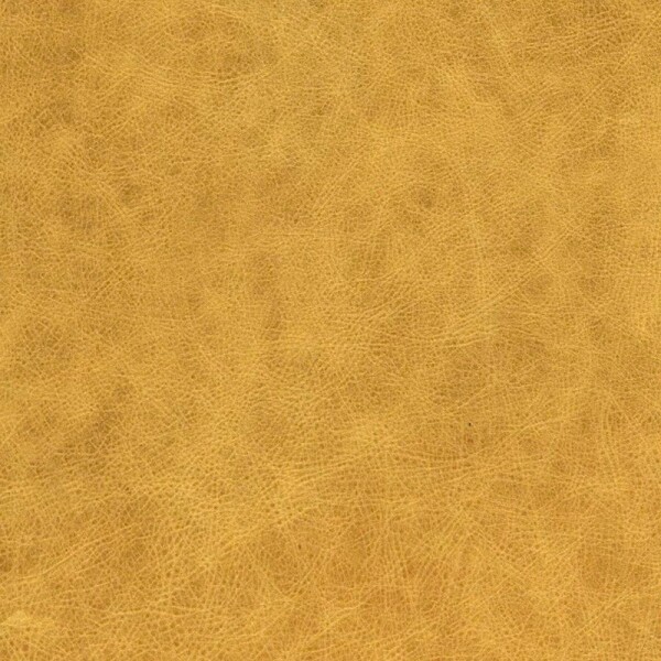 Wildlife | Rindleder chrome yellow