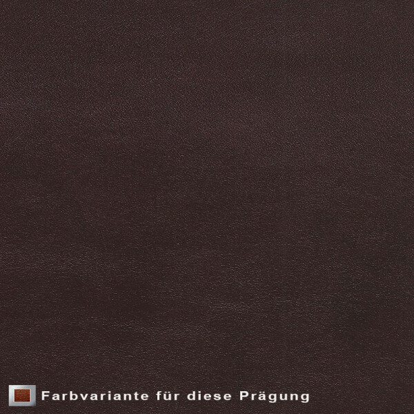 Echtleder | gepunktete Optik (Lederprägung Pointed) black red