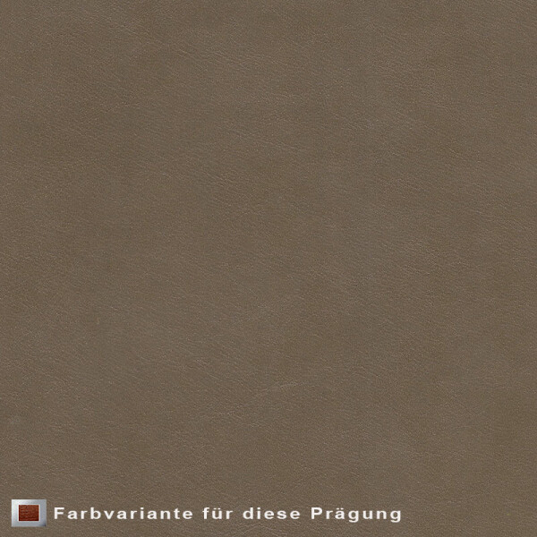 Echtleder | gepunktete Optik (Lederprägung Pointed) dunkelbeige