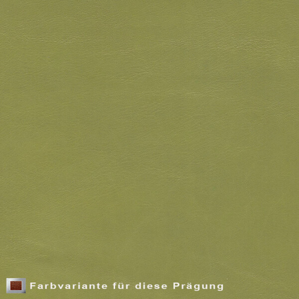 Echtleder | gepunktete Optik (Lederprägung Pointed) may green