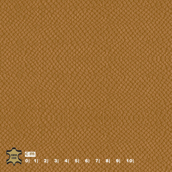 Echtleder | Schlangenoptik (Lederprägung Snake) golden brown