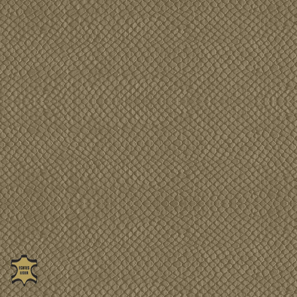 Echtleder | Schlangenoptik (Lederprägung Snake) bright gray