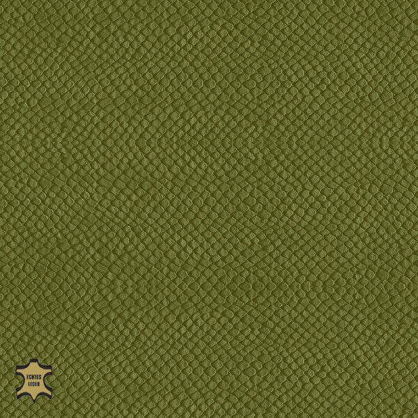 Echtleder | Schlangenoptik (Lederprägung Snake) madow green