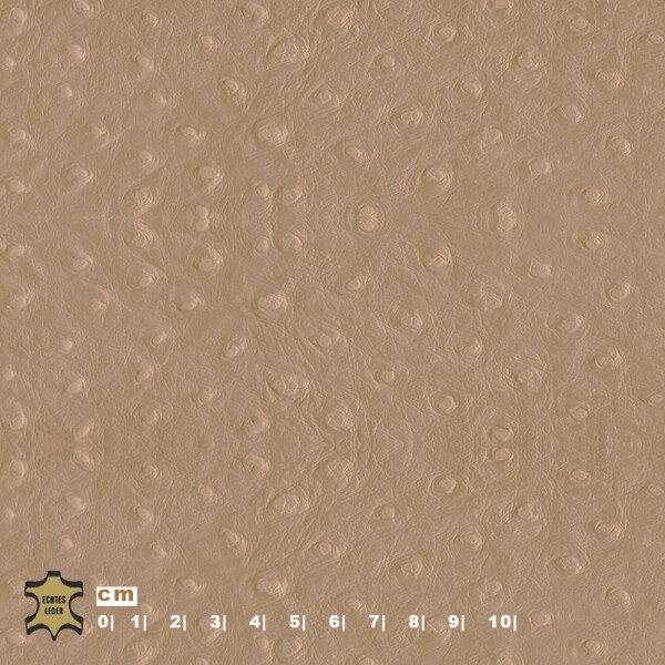 Echtleder | Strauß Optik (Lederprägung Strauß) grey beige