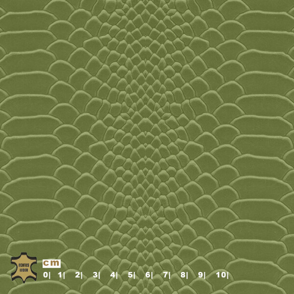 Echtleder | Schlangenoptik (Lederprägung Snake Two) may green