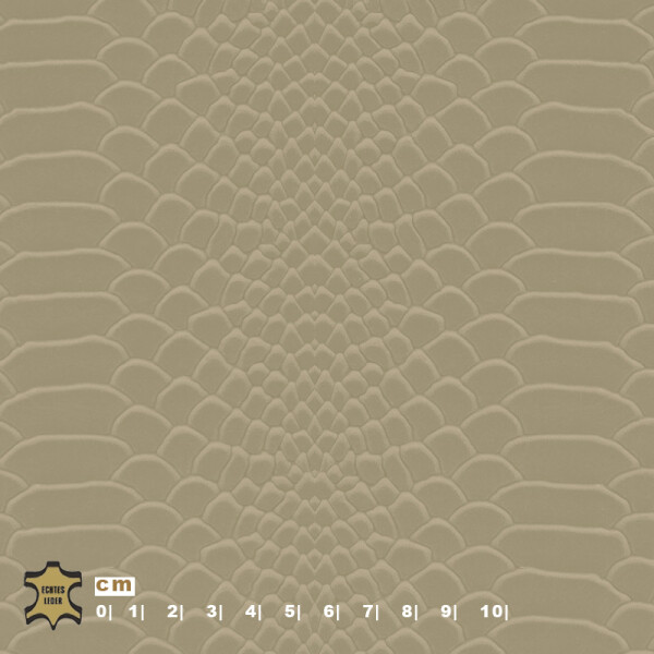 Echtleder | Schlangenoptik (Lederprägung Snake Two) taube