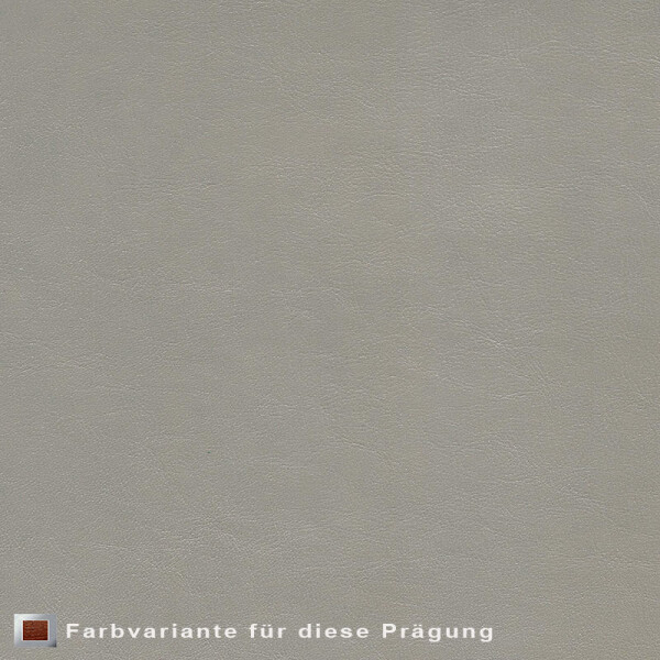 Echtleder | Linienoptik (Lederprägung Straightline) cement grey