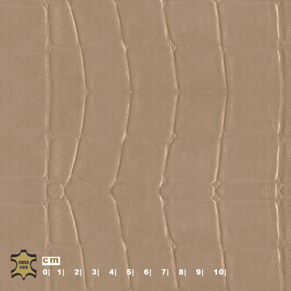 Echtleder | Krokooptik (Lederprägung Kroko Elegant) grey beige