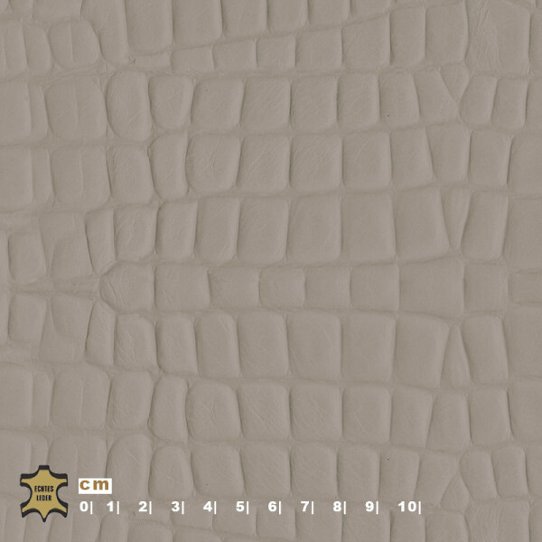 Echtleder | Krokodiloptik (Lederprägung Kroko) bright gray