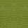 Echtleder | Cayman Optik (Lederprägung Cayman Two) may green