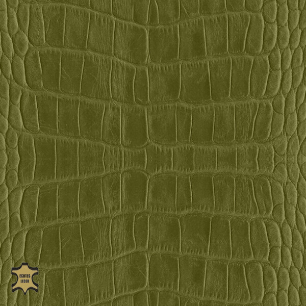 Echtleder | Cayman/Kroko-Optik (Lederprägung Cayman) madow green