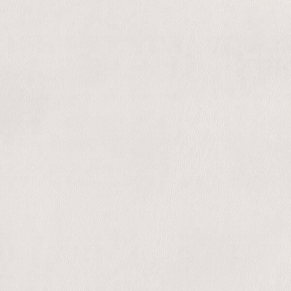 Praxis | Kunstleder dentist white