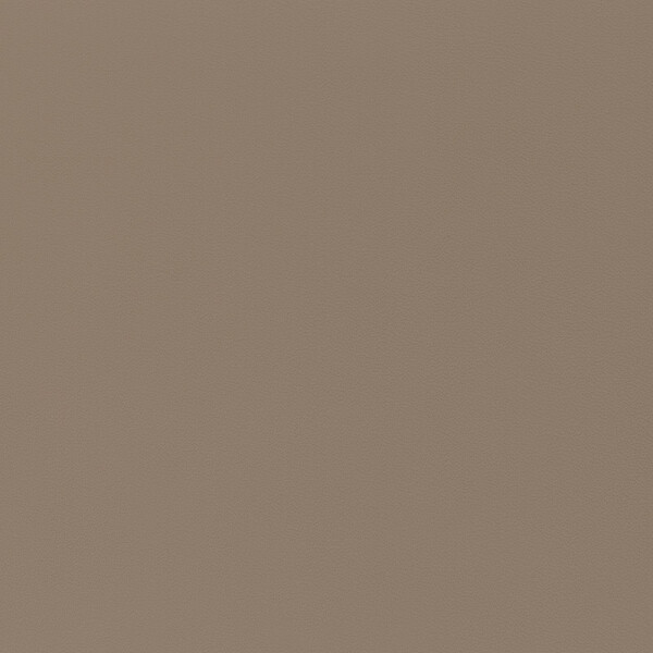 Porsche Nappa | Autoleder mojavebeige