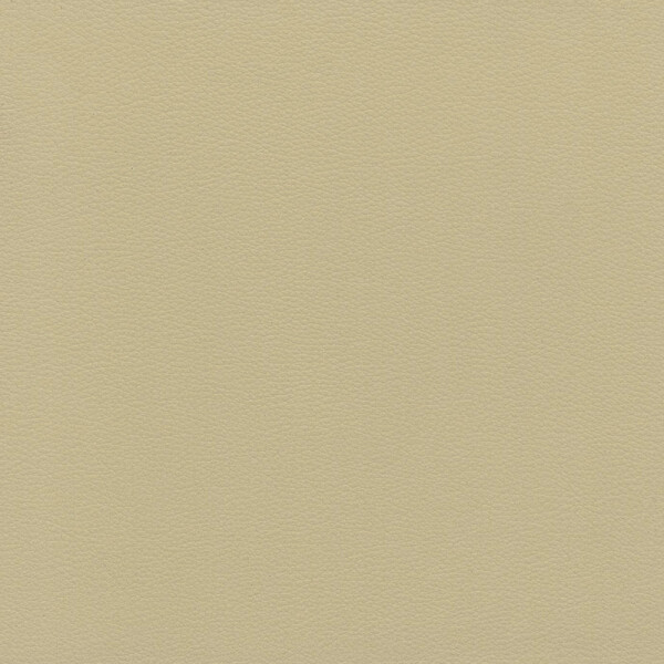 Caribic | Kunstleder champagner