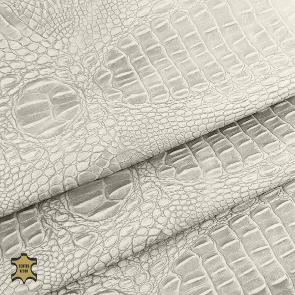 Echtes Leder Krokodiloptik | Nappaleder offwhite