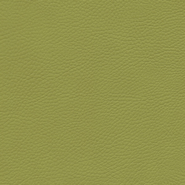 Skai®  Sotega limone