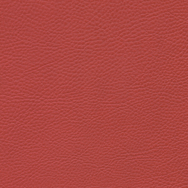 Skai®  Sotega FLS flame