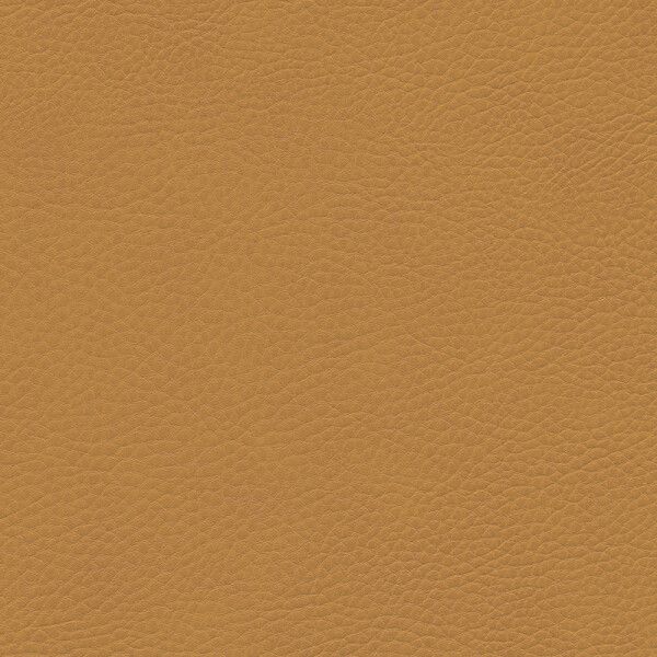 Skai®  Sotega FLS mango