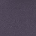 grauviolett