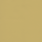 broom gelb