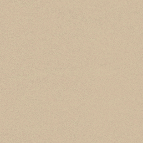 papyrus 2