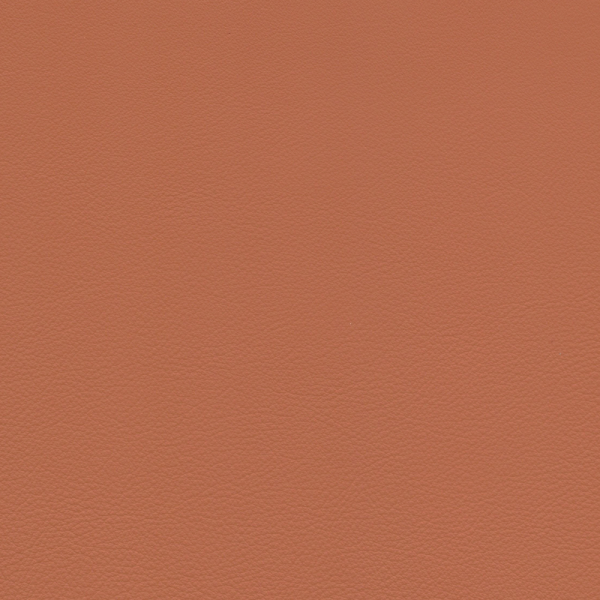 orange rot