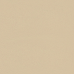 papyrus 1