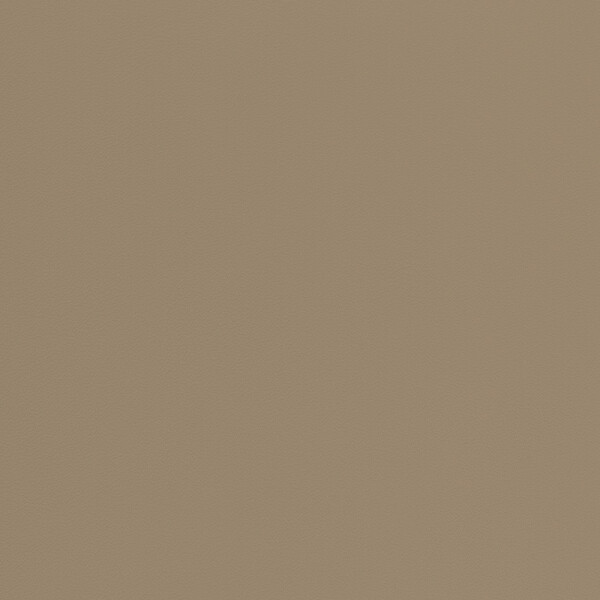 kaschmirbeige buckskin