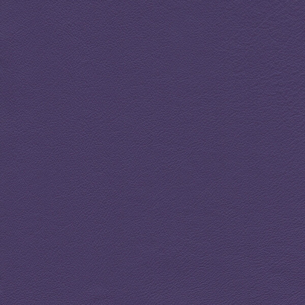 purple violett