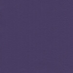 purple violett