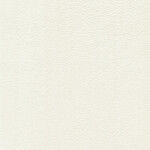signal white