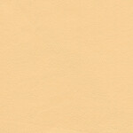 pale beige