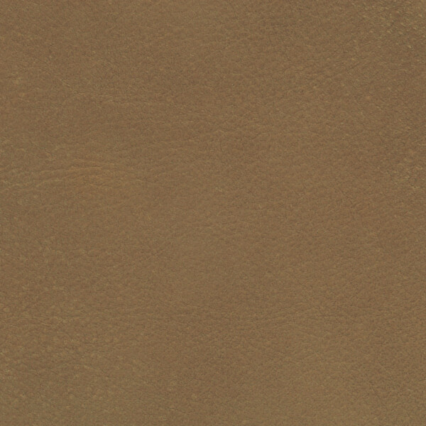 brown beige