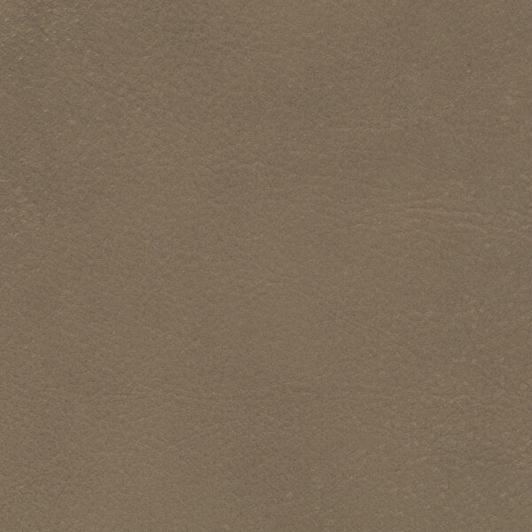 gray brown