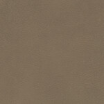 gray brown