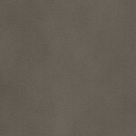 mode gray