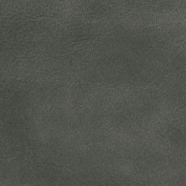anthracite gray